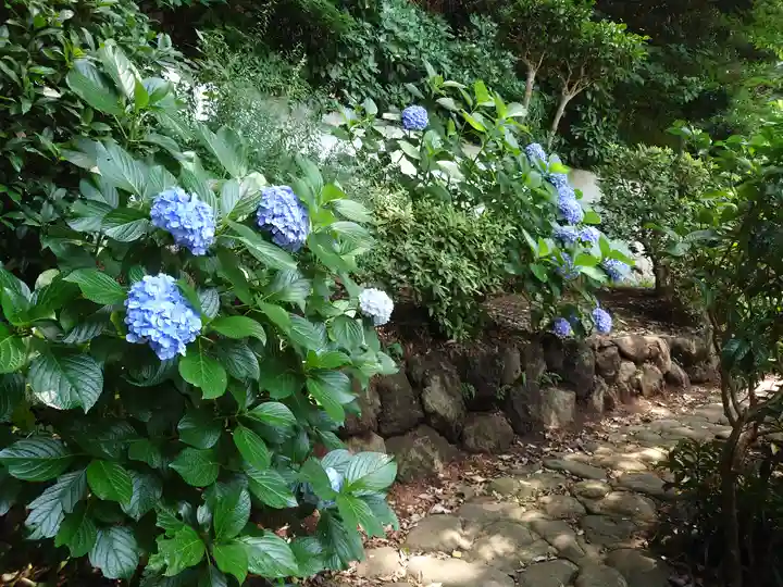 長生院(神奈川県)