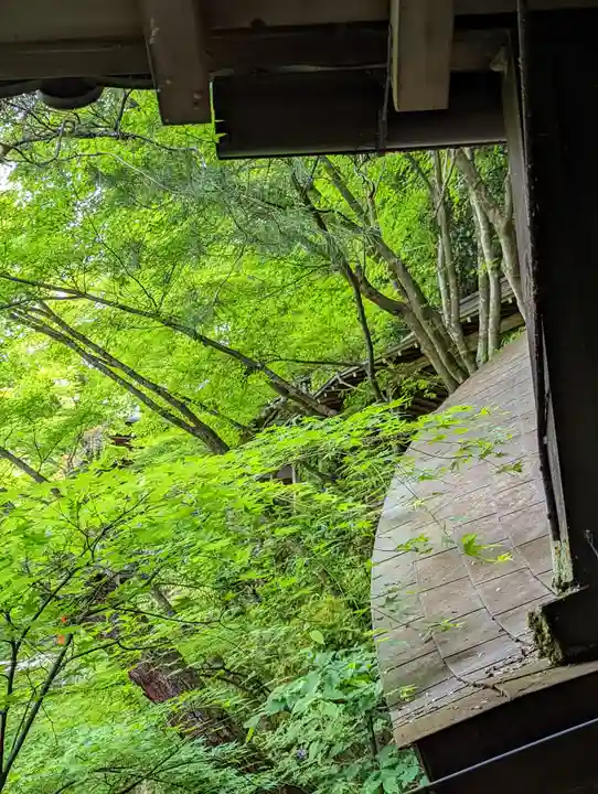 禅林寺(永観堂)の自然