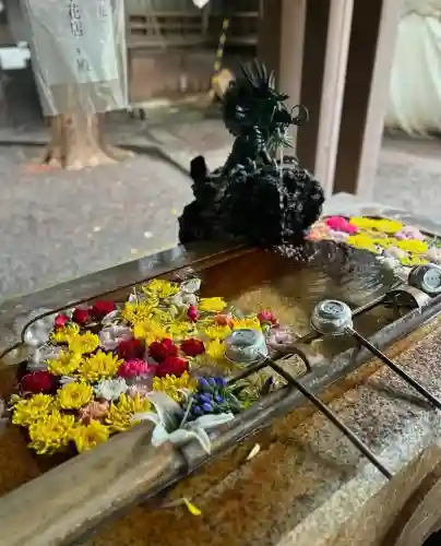 世田谷八幡宮(東京都)