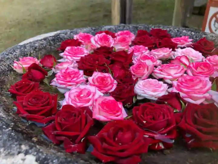 丹生都比売神社の手水舎
