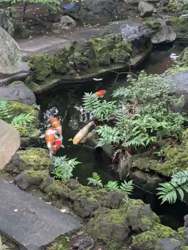 仲町氷川神社(東京都)