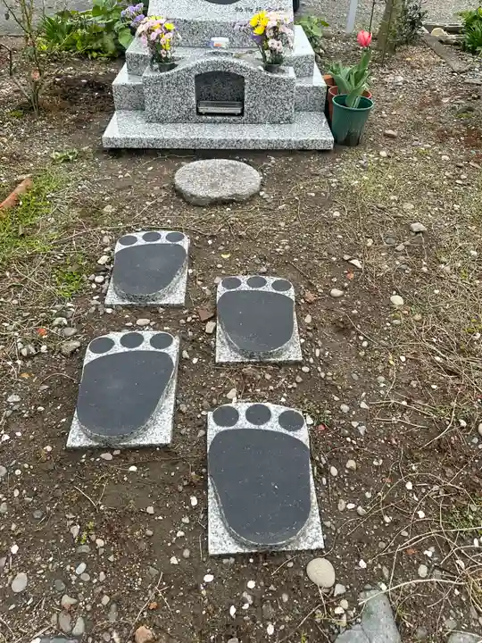 心月寺(静岡県)