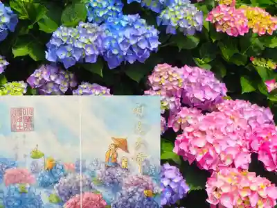 特別御朱印 6月『雨過天晴』
「雨過天晴うかてんせい」とは、雨がやんで空が晴れる意味から転じて、芳かんばしくない事態が好転することを意味する言葉です。
御祭神の小野篁卿や神社の動物たちは、見事な紫陽花あじさいを水の上から楽しんでいます😊