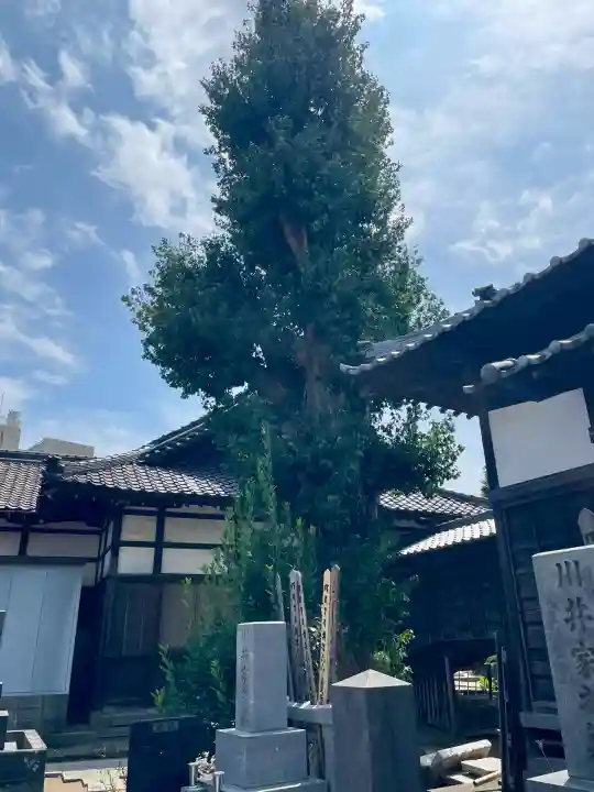 吉祥寺(千葉県)