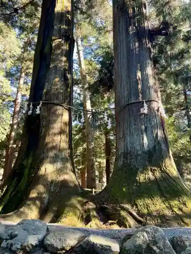河口浅間神社(山梨県)