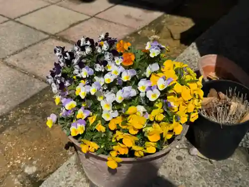 阿邪訶根神社の{uncategorized: "未分類", other: "その他", undefined: "問題あり", building: "その他建物", grave: "お墓", sacred_gate: "鳥居", guardian: "狛犬", statue: "像", buddha: "仏像", history: "歴史", nature: "自然", garden: "庭園", animal: "動物", pagoda: "塔", temizu: "手水舎", mountain_gate: "山門・神門", sanctuary: "本殿・本堂", subordinate: "末社・摂社", art: "芸術", scenery: "景色", jizo: "地蔵", ema: "絵馬", goshuin: "御朱印", omikuji: "おみくじ", items: "授与品その他", amulet: "お守り", goshuincho: "御朱印帳", eats: "食事", festival: "お祭り", votive_dance: "神楽", shichigosan: "七五三参", wedding: "結婚式", experience: "体験その他", initially: "初詣", around: "周辺", anti_infection: "感染症対策"}