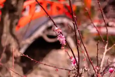 賀茂御祖神社（下鴨神社）(京都府)