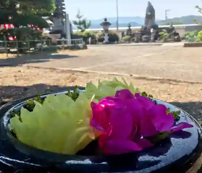 真言宗　善通寺派　薬王寺(香川県)