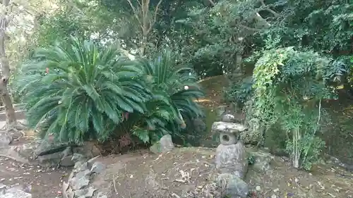 國津神社の自然