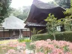 横浜　西方寺(神奈川県)