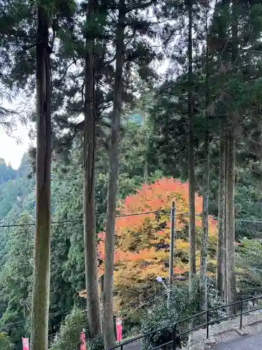 比叡山延暦寺(滋賀県)