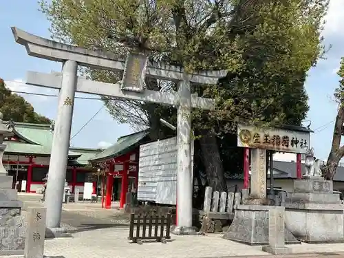 生玉稲荷神社の鳥居