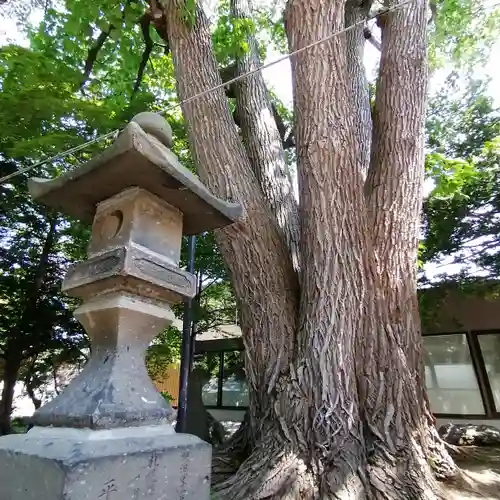 月寒神社の自然