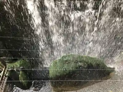 妙善寺(東京都)