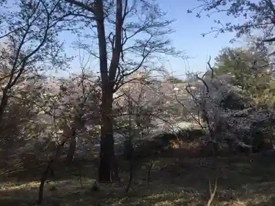 埼玉厄除け開運大師・龍泉寺（切り絵御朱印発祥の寺）の周辺