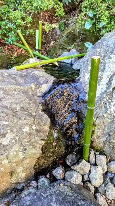 成田山新勝寺の芸術