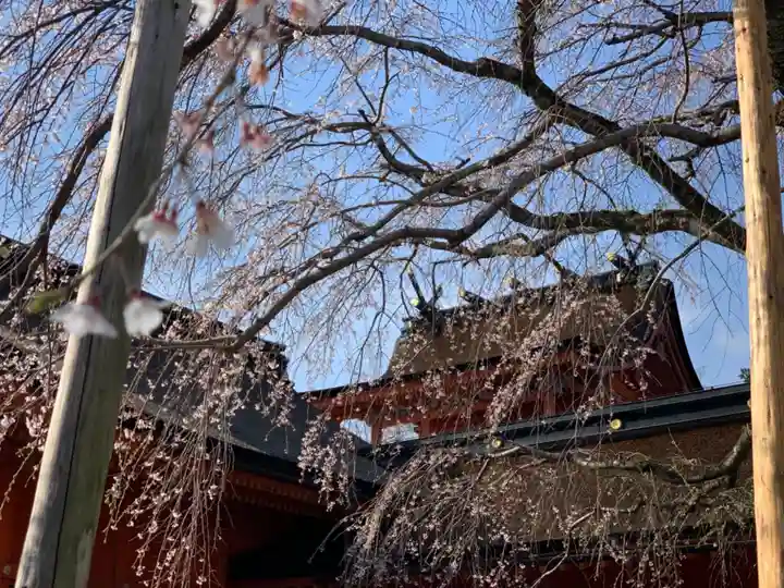 富士山本宮浅間大社のその他建物