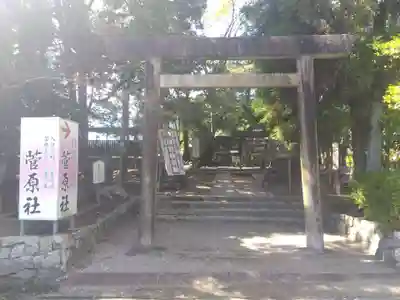 津島神社(愛知県)