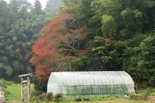 見渡神社の自然