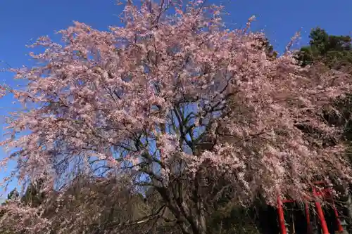 正一位稲荷大明神の景色