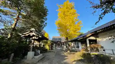 観音寺のその他建物