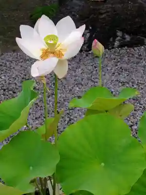 善光寺東海別院（祖父江善光寺）(愛知県)