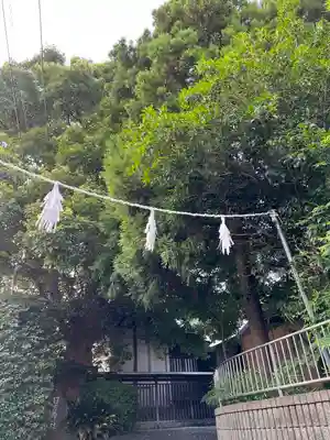 日吉神社(神奈川県)