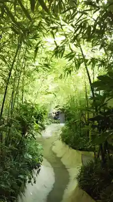 來宮神社の自然