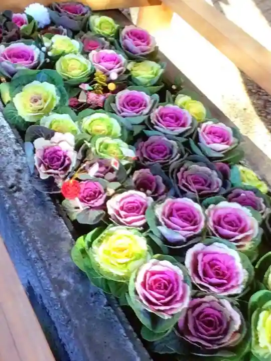 上目黒氷川神社(東京都)