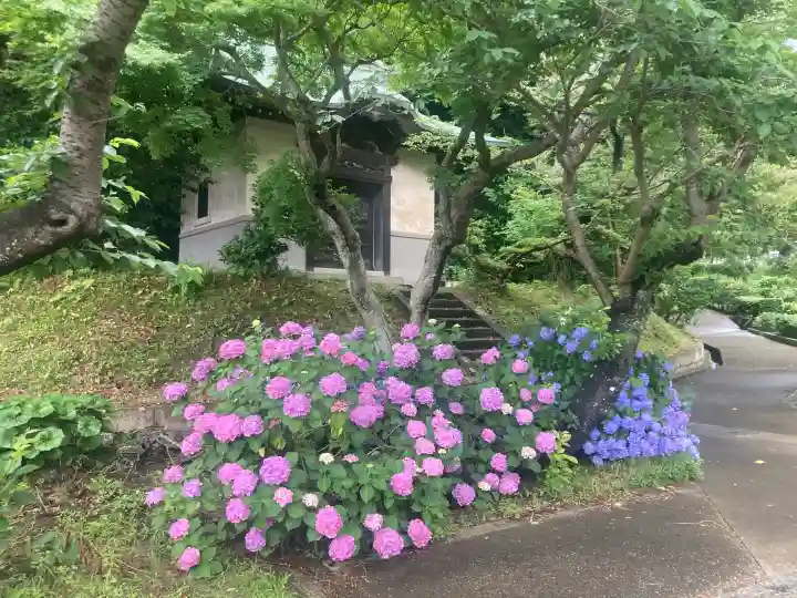 大長寺(神奈川県)