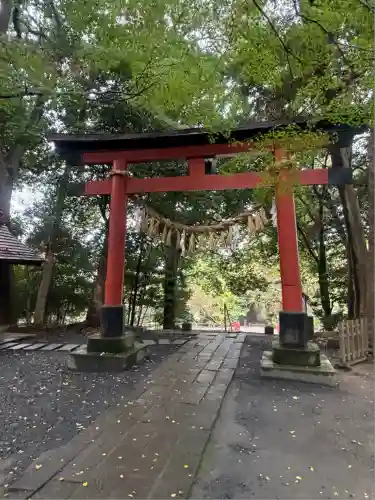 氷川女體神社(埼玉県)