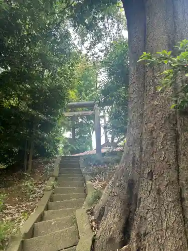 宇津貫毘沙門天の{uncategorized: "未分類", other: "その他", undefined: "問題あり", building: "その他建物", grave: "お墓", sacred_gate: "鳥居", guardian: "狛犬", statue: "像", buddha: "仏像", history: "歴史", nature: "自然", garden: "庭園", animal: "動物", pagoda: "塔", temizu: "手水舎", mountain_gate: "山門・神門", sanctuary: "本殿・本堂", subordinate: "末社・摂社", art: "芸術", scenery: "景色", jizo: "地蔵", ema: "絵馬", goshuin: "御朱印", omikuji: "おみくじ", items: "授与品その他", amulet: "お守り", goshuincho: "御朱印帳", eats: "食事", festival: "お祭り", votive_dance: "神楽", shichigosan: "七五三参", wedding: "結婚式", experience: "体験その他", initially: "初詣", around: "周辺", anti_infection: "感染症対策"}