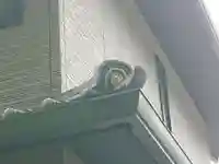 妙法寺(円頓寺豊田別院)のその他建物