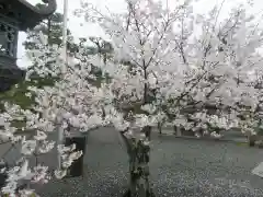 穴太寺(京都府)