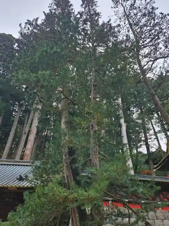 日光山輪王寺 大猷院(栃木県)