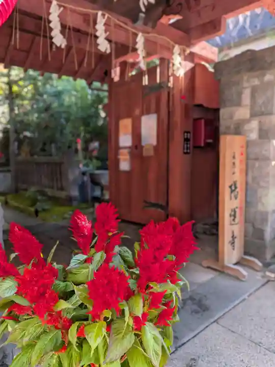 陽運寺(東京都)