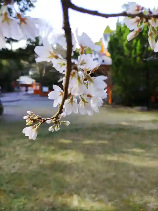 熊野速玉大社の自然