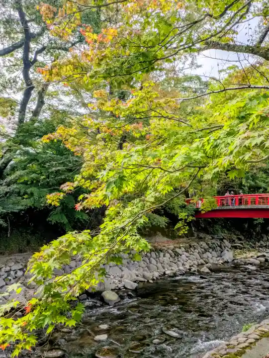 修禅寺の{uncategorized: "未分類", other: "その他", undefined: "問題あり", building: "その他建物", grave: "お墓", sacred_gate: "鳥居", guardian: "狛犬", statue: "像", buddha: "仏像", history: "歴史", nature: "自然", garden: "庭園", animal: "動物", pagoda: "塔", temizu: "手水舎", mountain_gate: "山門・神門", sanctuary: "本殿・本堂", subordinate: "末社・摂社", art: "芸術", scenery: "景色", jizo: "地蔵", ema: "絵馬", goshuin: "御朱印", omikuji: "おみくじ", items: "授与品その他", amulet: "お守り", goshuincho: "御朱印帳", eats: "食事", festival: "お祭り", votive_dance: "神楽", shichigosan: "七五三参", wedding: "結婚式", experience: "体験その他", initially: "初詣", around: "周辺", anti_infection: "感染症対策"}