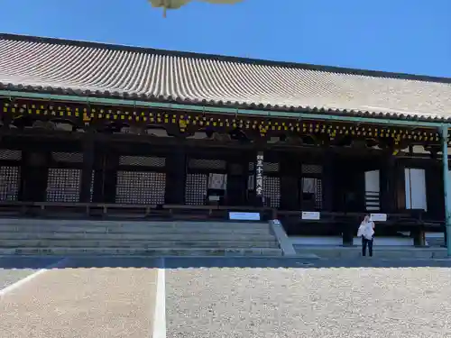 蓮華王院（三十三間堂）(京都府)