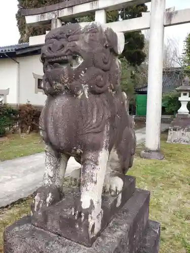 柿沢神社の狛犬