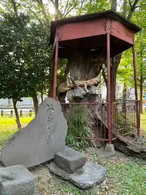 神明大神（中丸子神社）(神奈川県)