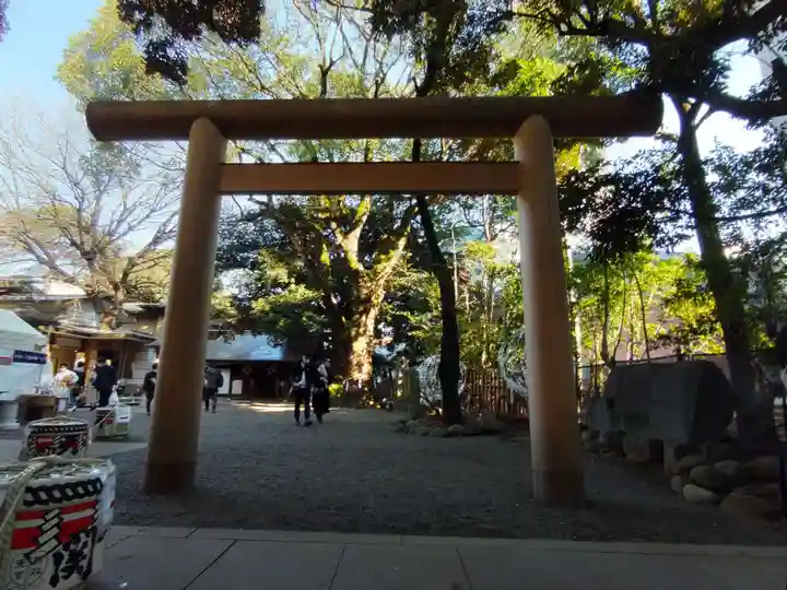 乃木神社の鳥居