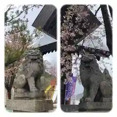 龍宮神社の狛犬