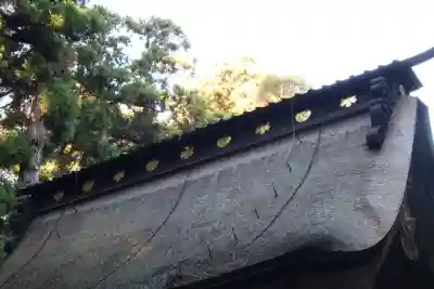 奥宮(鹿島神宮摂社)(茨城県)