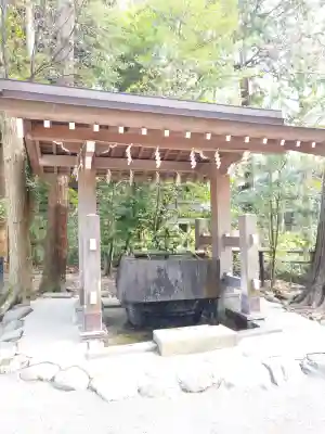 白旗神社の{uncategorized: "未分類", other: "その他", undefined: "問題あり", building: "その他建物", grave: "お墓", sacred_gate: "鳥居", guardian: "狛犬", statue: "像", buddha: "仏像", history: "歴史", nature: "自然", garden: "庭園", animal: "動物", pagoda: "塔", temizu: "手水舎", mountain_gate: "山門・神門", sanctuary: "本殿・本堂", subordinate: "末社・摂社", art: "芸術", scenery: "景色", jizo: "地蔵", ema: "絵馬", goshuin: "御朱印", omikuji: "おみくじ", items: "授与品その他", amulet: "お守り", goshuincho: "御朱印帳", eats: "食事", festival: "お祭り", votive_dance: "神楽", shichigosan: "七五三参", wedding: "結婚式", experience: "体験その他", initially: "初詣", around: "周辺", anti_infection: "感染症対策"}