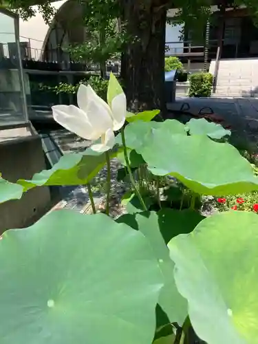浄土寺(神奈川県)