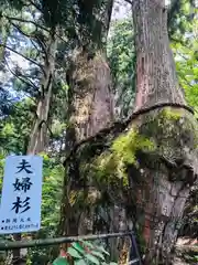 玉置神社の建物その他