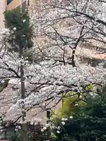 羽衣町厳島神社(関内厳島神社・横浜弁天)(神奈川県)