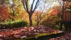 玉野御嶽神社の自然