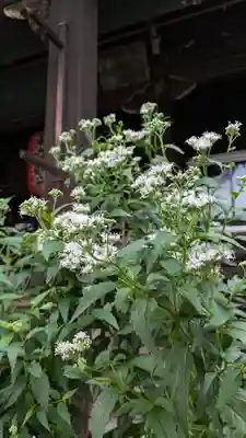 行願寺（革堂）(京都府)